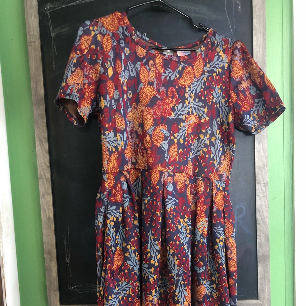 LuLaRoe Amelia Dress